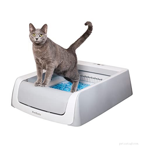 Top Self-Cleaning Litter Boxes of 2022: Comprehensive Reviews & Buying Guide