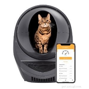 Top Self-Cleaning Litter Boxes of 2022: Comprehensive Reviews & Buying Guide