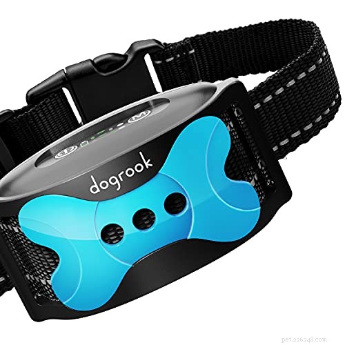 Top 2022 Dog Bark Control Collars: Expert Reviews & Picks