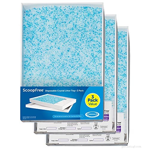 Top Cat Litter Choices of 2022: Expert Reviews & Ratings