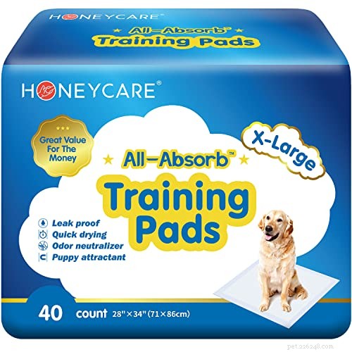 Top Puppy Potty Training Pads of 2022: Trusted Reviews & Quick Results