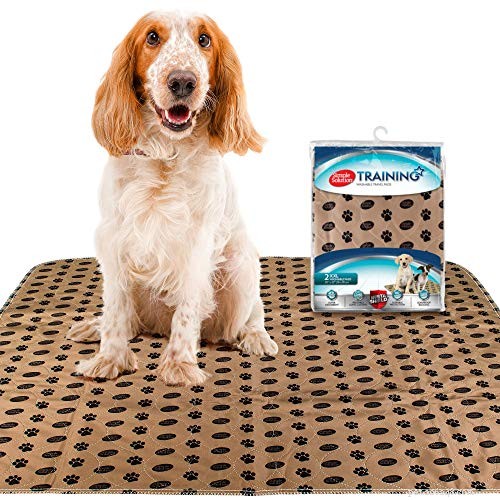 Top Puppy Potty Training Pads of 2022: Trusted Reviews & Quick Results