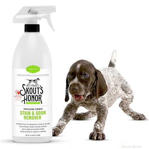 Top Cat Urine Odor Eliminators – 2022 Reviews & Buying Guide