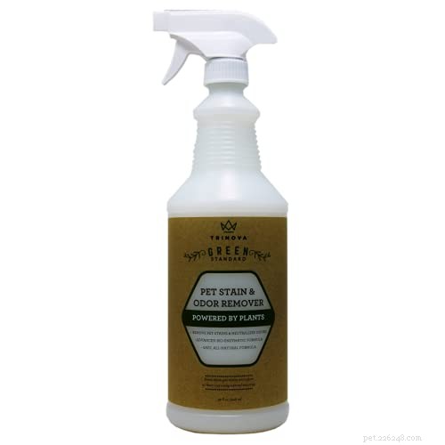 Top Pet Carpet Cleaners 2022: Expert Reviews & Buying Guide