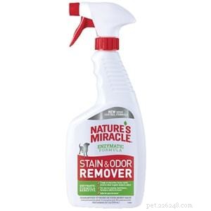 Top Pet Carpet Cleaners 2022: Expert Reviews & Buying Guide