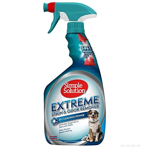 Top Pet Carpet Cleaners 2022: Expert Reviews & Buying Guide
