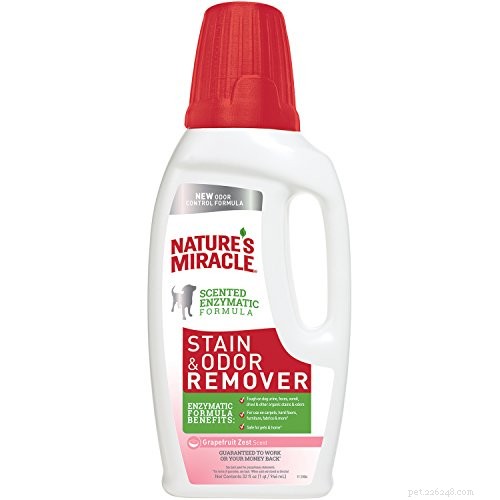 Top Pet Carpet Cleaners 2022: Expert Reviews & Buying Guide