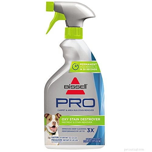 Top Pet Carpet Cleaners 2022: Expert Reviews & Buying Guide