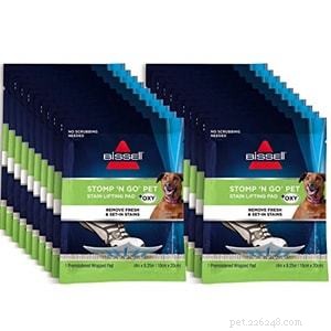 Top Pet Carpet Cleaners 2022: Expert Reviews & Buying Guide