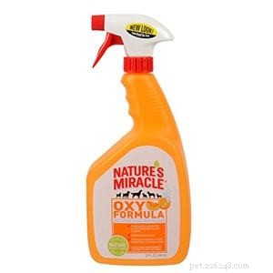 Top Pet Carpet Cleaners 2022: Expert Reviews & Buying Guide