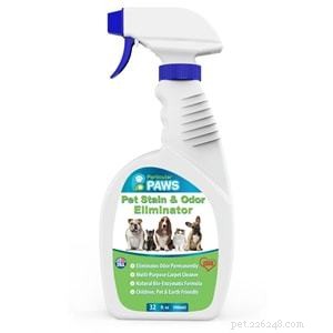 Top Pet Carpet Cleaners 2022: Expert Reviews & Buying Guide
