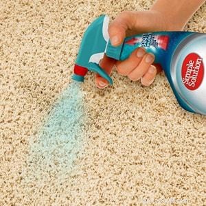 Top Pet Carpet Cleaners 2022: Expert Reviews & Buying Guide
