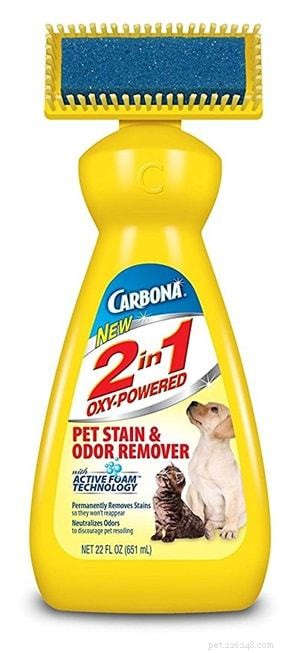 Top Pet Carpet Cleaners 2022: Expert Reviews & Buying Guide
