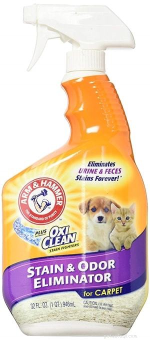Top Pet Carpet Cleaners 2022: Expert Reviews & Buying Guide