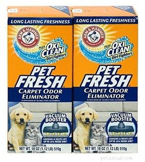 Top Pet Carpet Cleaners 2022: Expert Reviews & Buying Guide