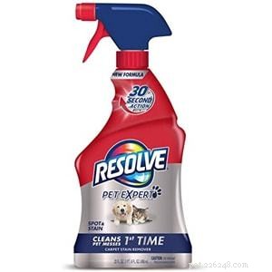 Top Pet Carpet Cleaners 2022: Expert Reviews & Buying Guide