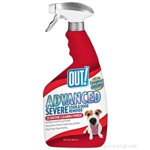 Top Pet Carpet Cleaners 2022: Expert Reviews & Buying Guide