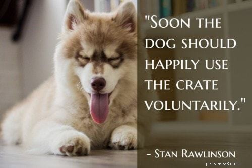 101 Proven Puppy Training Tips: Your Complete Guide to a Well‑Behaved Dog