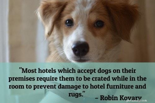 101 Proven Puppy Training Tips: Your Complete Guide to a Well‑Behaved Dog
