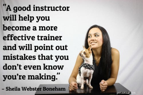 101 Proven Puppy Training Tips: Your Complete Guide to a Well‑Behaved Dog