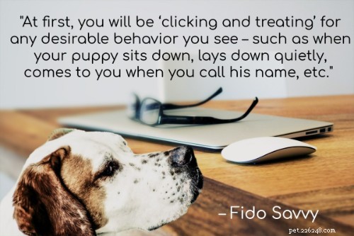 101 Proven Puppy Training Tips: Your Complete Guide to a Well‑Behaved Dog