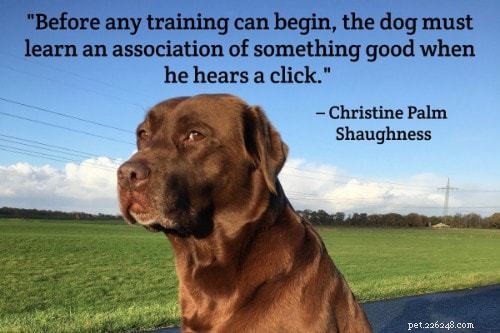 101 Proven Puppy Training Tips: Your Complete Guide to a Well‑Behaved Dog
