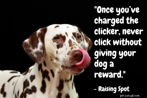 101 Proven Puppy Training Tips: Your Complete Guide to a Well‑Behaved Dog