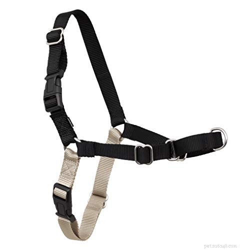 Top Dog Harnesses to Stop Pulling – 2022 Reviews & Buying Guide