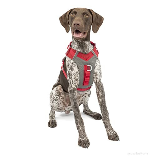 Top Dog Harnesses to Stop Pulling – 2022 Reviews & Buying Guide