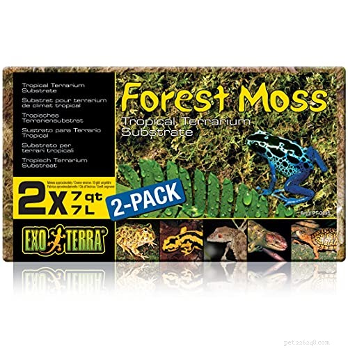 Choosing the Best Substrate for Your Tarantula: A Comprehensive Guide