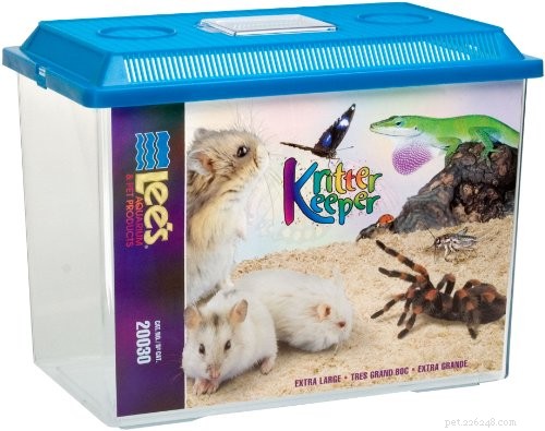 Care Guide for Hapalopus sp.  Pumpkin Patch  Tarantula (Colombia Large)