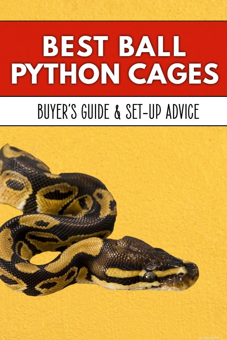 Top Ball Python Cages & Enclosures: Expert Guide to Types & Setup