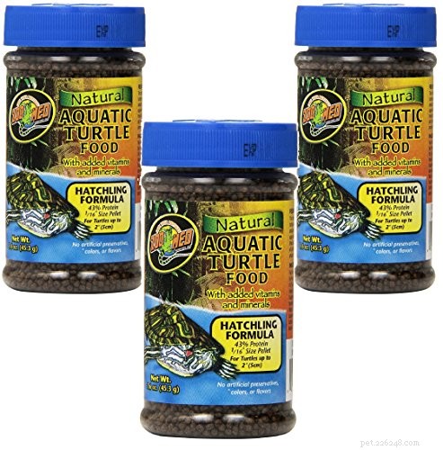 Optimal Nutrition for Musk Turtles: A Guide to Healthy Feeding