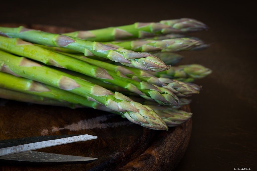 Are Asparagus Safe for Bearded Dragons? Nutrition & Feeding Tips