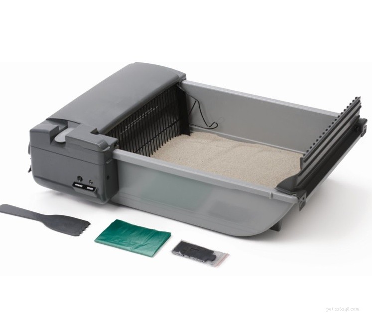10 Essential Products Every Cat Owner Should Consider for Maximum Happiness