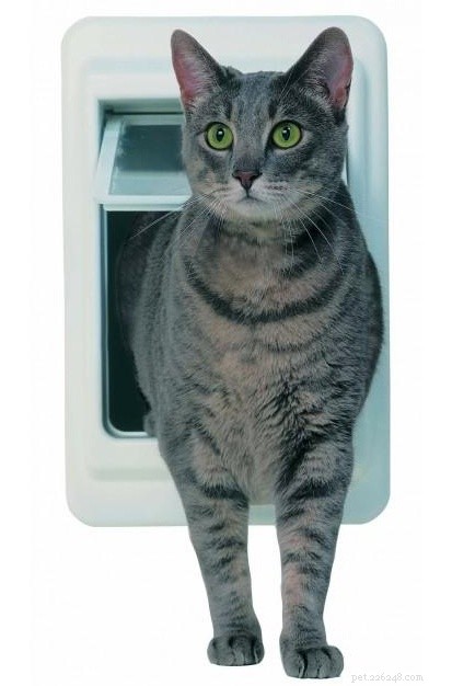 10 Essential Products Every Cat Owner Should Consider for Maximum Happiness