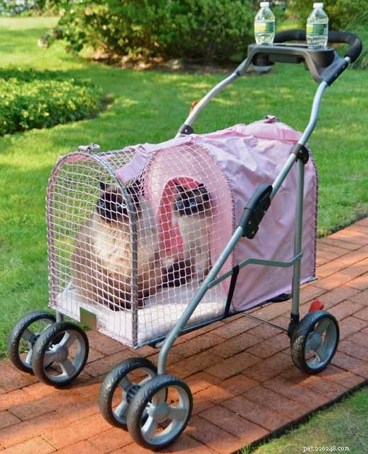 10 Essential Products Every Cat Owner Should Consider for Maximum Happiness