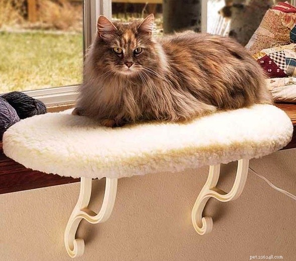 10 Essential Products Every Cat Owner Should Consider for Maximum Happiness