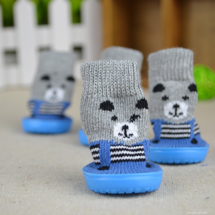 Keep Your Pets Warm and Safe This Winter: Expert Tips & Cozy Gear