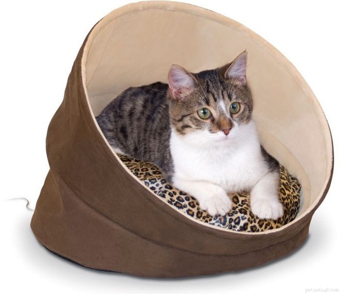 Why a Heated Bed Is Essential for Your Cat This Fall