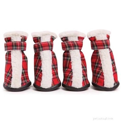 Freshpet Holiday Gift Guide: 7 Thoughtful Gifts for Your Dog or Cat