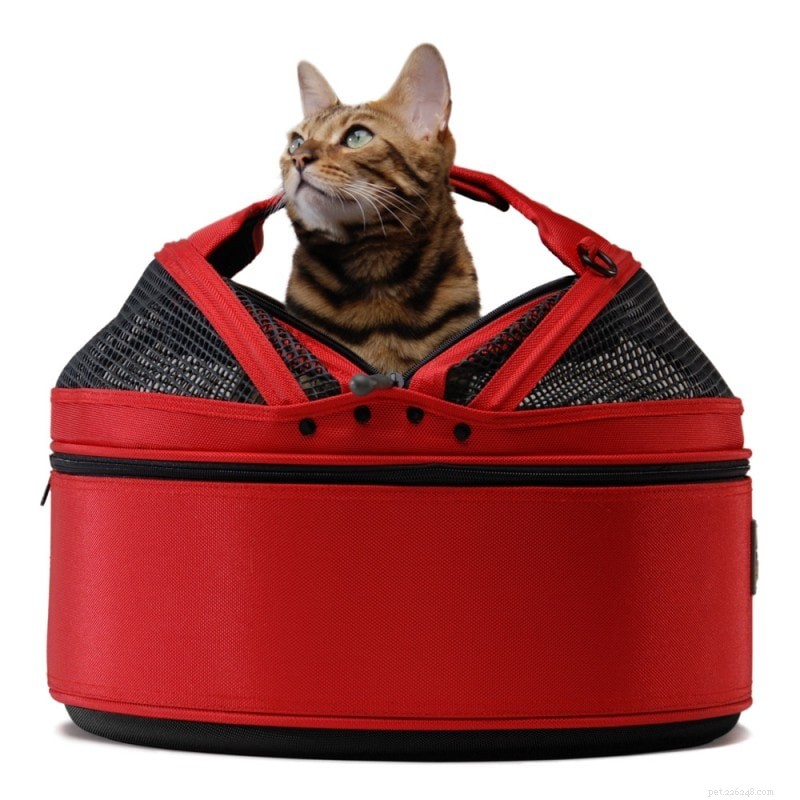 Valentine s Day Gift Guide: Thoughtful Presents for Your Pets
