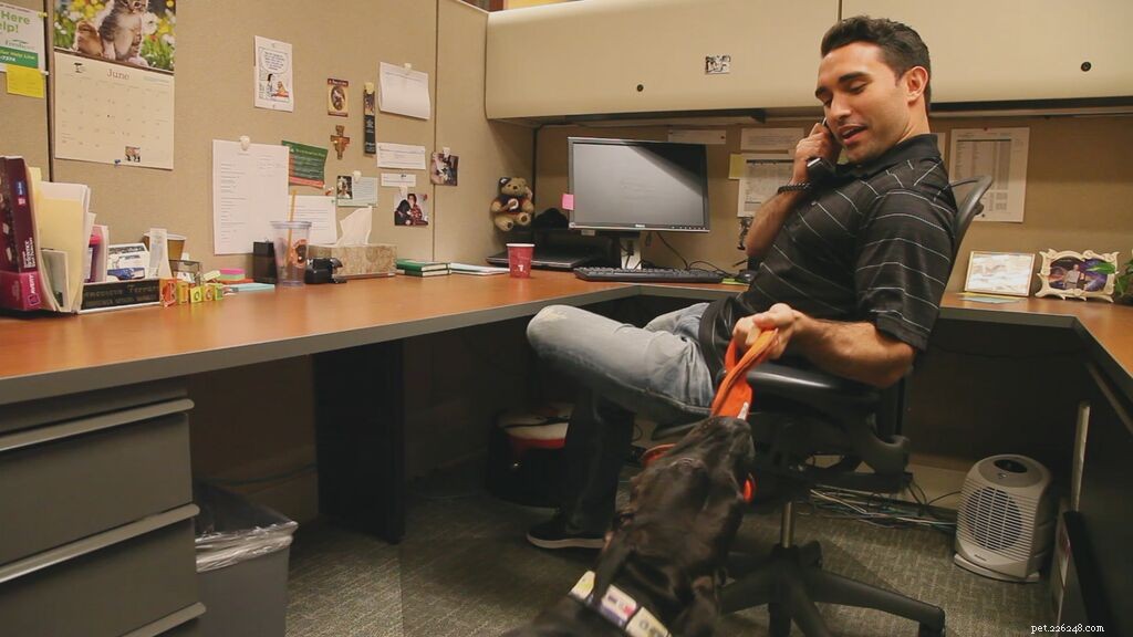 How Dogs Inspire Better Business Practices: Freshpet s Insight