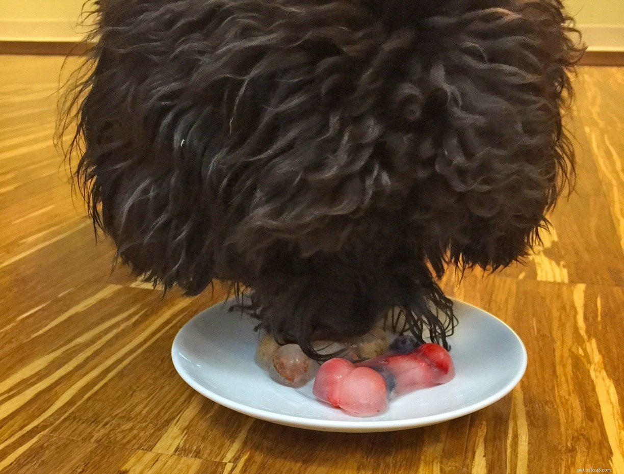Cool Down Your Pup: DIY Frozen Dog Treats for Hot Summer Days
