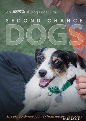 Must-See Pet Documentaries on Netflix