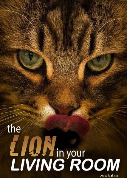 Must-See Pet Documentaries on Netflix