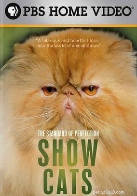 Must-See Pet Documentaries on Netflix