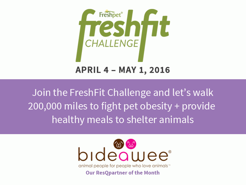 Join the FreshFit Challenge: Walk 200,000 Miles to Combat Pet Obesity