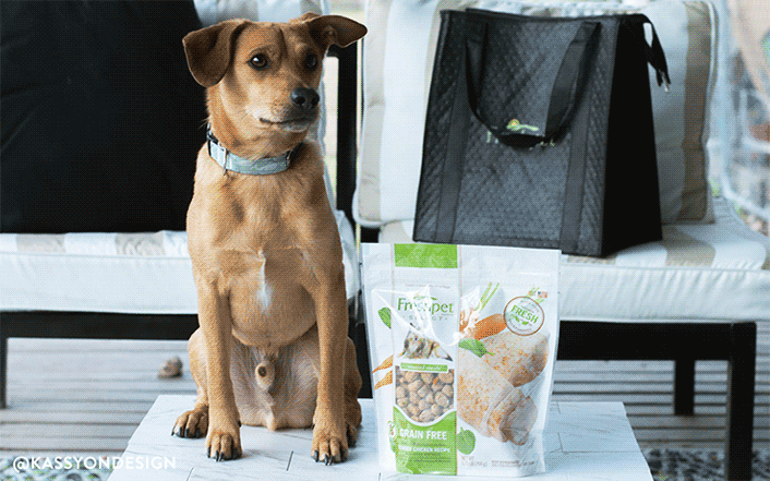 Discover the Health Benefits of Fresh, All-Natural Pet Food