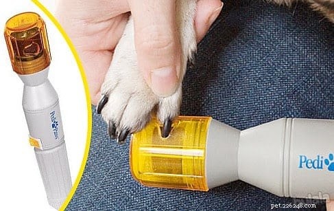 Home Grooming Made Simple: Expert Tips for a Healthy, Stylish Dog